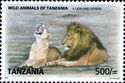 Lion (Panthera leo) - Male and Female