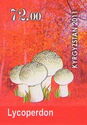 Mushrooms - Lycoperdon