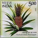 Pineapple, Vazhakulam