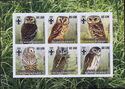 Owls