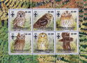 Owls