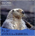 Sea Otter