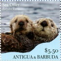 Sea Otter