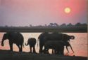 Sunset by Waterhole