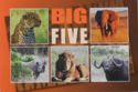 Big Five