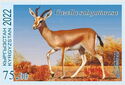 Black-Tailed Gazelle (Gazella subgutturosa)