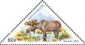 Moose (Alces alces)