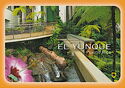El Yunque National Forest