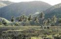 Antigua. Hills and Valleys