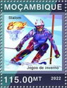 Slalom Skiing