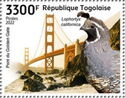 Golden Gate Bridge; Lophortyx california