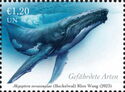 Humpback Whale (Megaptera novaeangliae)