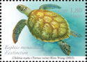 Green Sea Turtle (Chelonia mydas)