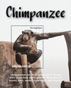Chimpanzee (Pan troglodytes)