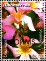 Oleander (Nerium oleander) - Overprinted
