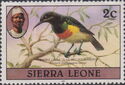 Olive-bellied Sunbird (Cinnyris chloropygius); 1983 imprint