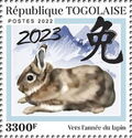 Towards the Year of the Rabbit