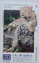 CV. Juanda: Macan Tutul (Leopard) [Panthera Pardus] Jawa