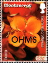 Ixora (Ixora macrothyrsa) - Overprinted
