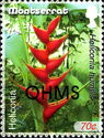 Heliconia (Heliconia humilis) - Overprinted