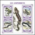Amphibians