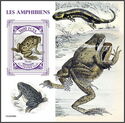 Amphibians