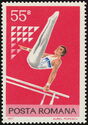 Gymnast on parallel bars