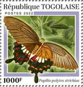 Papilio polytes strichius