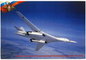 Strategic Supersonic Bomber with Variable Wing Geometry Tu-160