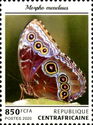 Morpho menelaus