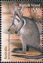 Bridled Nailtail Wallaby (Onychogalea fraenata)
