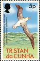 Tristan Albatross (Diomedea exulans dabbenena)