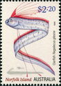 Oarfish (Regalecus glesne)