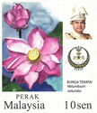 Sacred Lotus (with portrait of Sultan Nazrin)