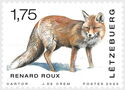 Red Fox (Vulpes vulpes)