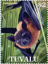 Indian Flying Fox (Pteropus medius ariel)