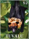 Indian Flying Fox (Pteropus giganteus)