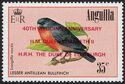 Lesser Antillean Bullfinch (Loxigilla noctis) - Overprinted