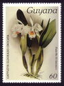 60c Plate 93 (series 1) Cattleya eldorado crocata