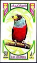 Toucan Barbet (Semnornis ramphastinus)