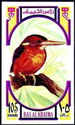 African Pygmy Kingfisher (Ispidina picta)