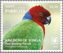 Red Shining Parrot (Prosopeia tabuensis)