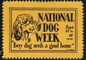 National Dog Week. Every Dog Needs a good home. Spaniel