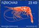 Northern Prawn (Pandalus borealis)