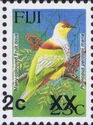 Many-coloured Fruit Dove (Ptilinopus perousii mariae)