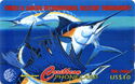 Billfish - Tournament 2