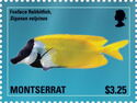 Foxface Rabbitfish (Siganus vulpinus)