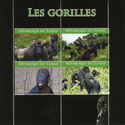 Gorillas