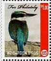 Sacred Kingfisher