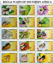 Bees and Wasps of Southern Africa